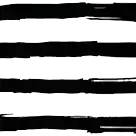 Zebraschweinchen Menuburger V0101